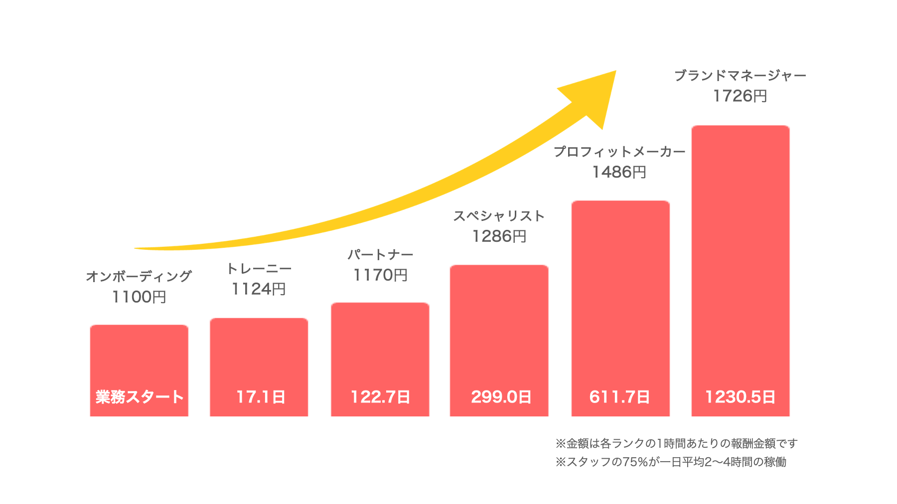 採用後のキャリアステップについて（グラフ）